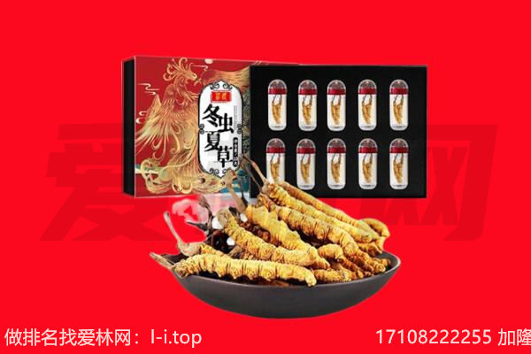 三穗县回收虫草.jpg